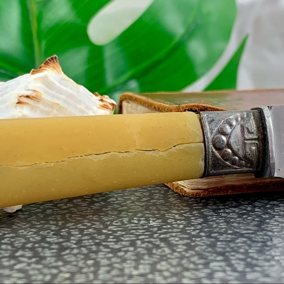 VINTAGE BUTTERKNIFE SET W/CASE BONE LIKE HANDLES - Picture 9 of 11